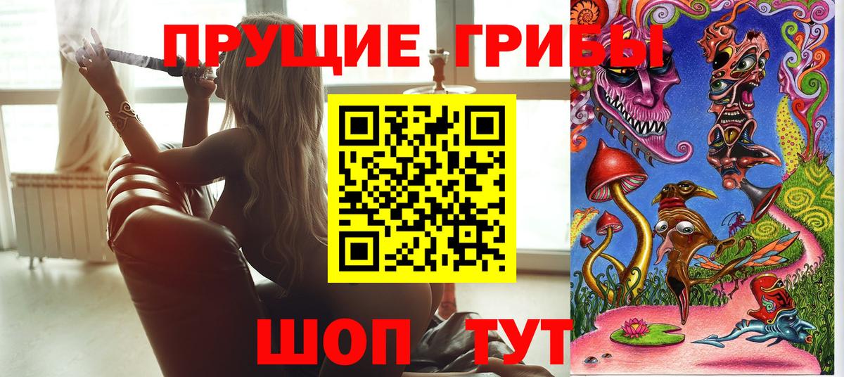 Псилоцибиновые грибы мухоморы Елизово