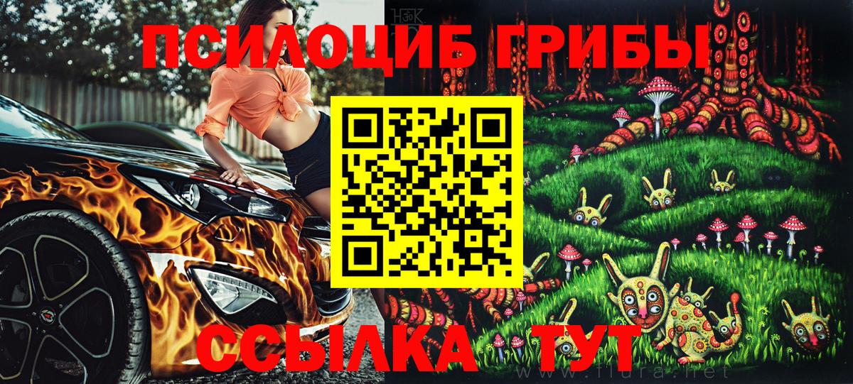 Псилоцибиновые грибы Psilocybe  Псилоцибиновые грибы GOLDEN TEACHER  Елизово  хочу   Вход с VPN 